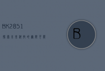 BK2851，探索未来科技的无限可能