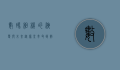数码相机的演变与未来，从像素革命到智能摄影