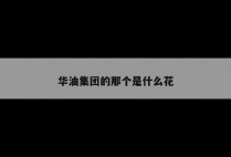 华油集团的那个是什么花