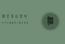 猫儿草，自然界的奇妙馈赠与人类的情感纽带