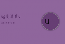ug是什么（ug是什么民族）