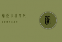 兰蔻小什么瓶新款（兰蔻小棕瓶）