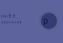 plus是什么意思（plus是什么意思车上的）