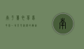 南平薰衣草梦花园，一场紫色浪漫的邂逅