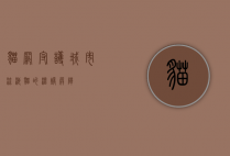 猫网，守护城市流浪猫的温暖屏障