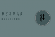 桂花小苗怎么样造型（桂花小苗移栽）