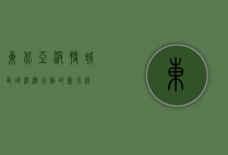 东北亚波特城，区域经济合作的新引擎