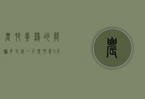 农村养鸡的能赚多少钱一斤（农村养5千只鸡一年挣多少）