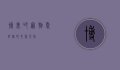 博美吧，宠物爱好者的交流天堂