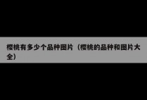 樱桃有多少个品种图片（樱桃的品种和图片大全）