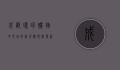 成都环球购物中心，城市新地标与消费新体验
