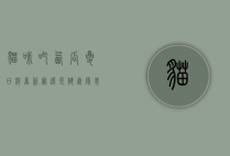 猫咪吃西瓜,夏日消暑新宠还是健康隐患?