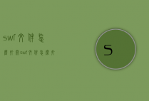 swf文件怎么打开（swf文件怎么打开看视频）