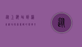从上海站到浦东机场，探索魔都的便捷交通与独特魅力