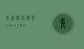 青岛潮汛，海洋与城市的交响曲
