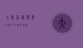 大绿雀鹎,热带雨林中的绿色精灵