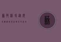 苏邦机场，从历史辉煌到现代转型的航空枢纽