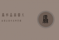原始森林图片，自然之美的永恒见证
