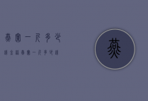 燕窝一斤多少钱（金丝燕窝一斤多少钱）