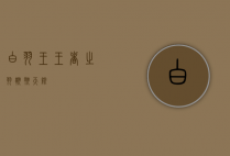 白羽王，王者之羽，翱翔天际