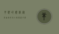 羊驼的价格，从养殖到市场，全面解析羊驼的经济价值