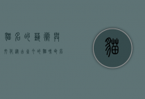 猫名的艺术与文化，从古至今的猫咪命名之旅