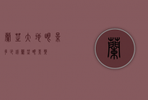 兰芝大地眼影多少钱（兰芝眼影盘）