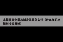 冰箱里面全是冰制冷效果怎么样（什么样的冰箱制冷效果好）