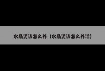 水晶泥该怎么养（水晶泥该怎么养活）
