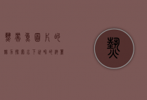 热带鱼图片的魅力，探索水下世界的绚丽色彩