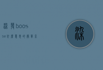 染发booster什么意思的简单介绍