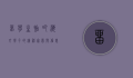 留学生贴吧，海外学子的精神家园与信息宝库