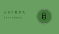 百年评价，历史长河中的光辉与反思