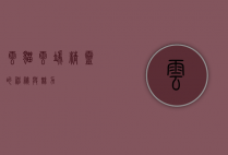 云猫，云端精灵的神秘与魅力