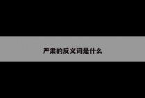 严肃的反义词是什么