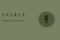 黄岐，山海之间的渔港风情与历史传承