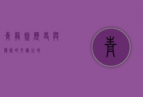 青龙寨，历史与传说的交汇之地