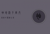 袖珍椰子，室内绿植的优雅之选