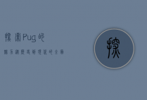 探索Pug的魅力，从历史到现代的全面解析