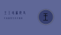 王玉珠帘，历史的瑰宝与文化的传承