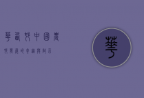 华西村，中国农村发展的奇迹与启示