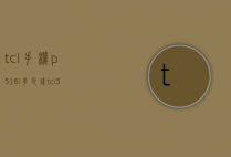 tcl手机p316l多少钱（tcl 3p空调多少钱）