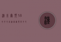 汉米尔顿38的多少钱（汉密尔顿有多少钱）