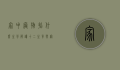 家中庞物指什么生肖？解读十二生肖与宠物文化的深层联系