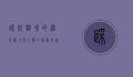 踩奶，猫咪的温柔仪式与人类的治愈时刻