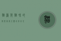 猫薄荷，猫咪的快乐草与人类的好奇心