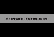 怎么查大雾预报（怎么查大雾预报信息）