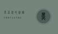 黑眉锦蛇,神秘而优雅的森林守护者