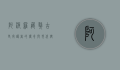 阿波罗藏獒，古老守护者的传奇与现代使命