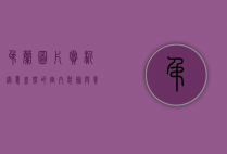 吊兰图片赏析，绿意盎然的室内装饰与养护指南